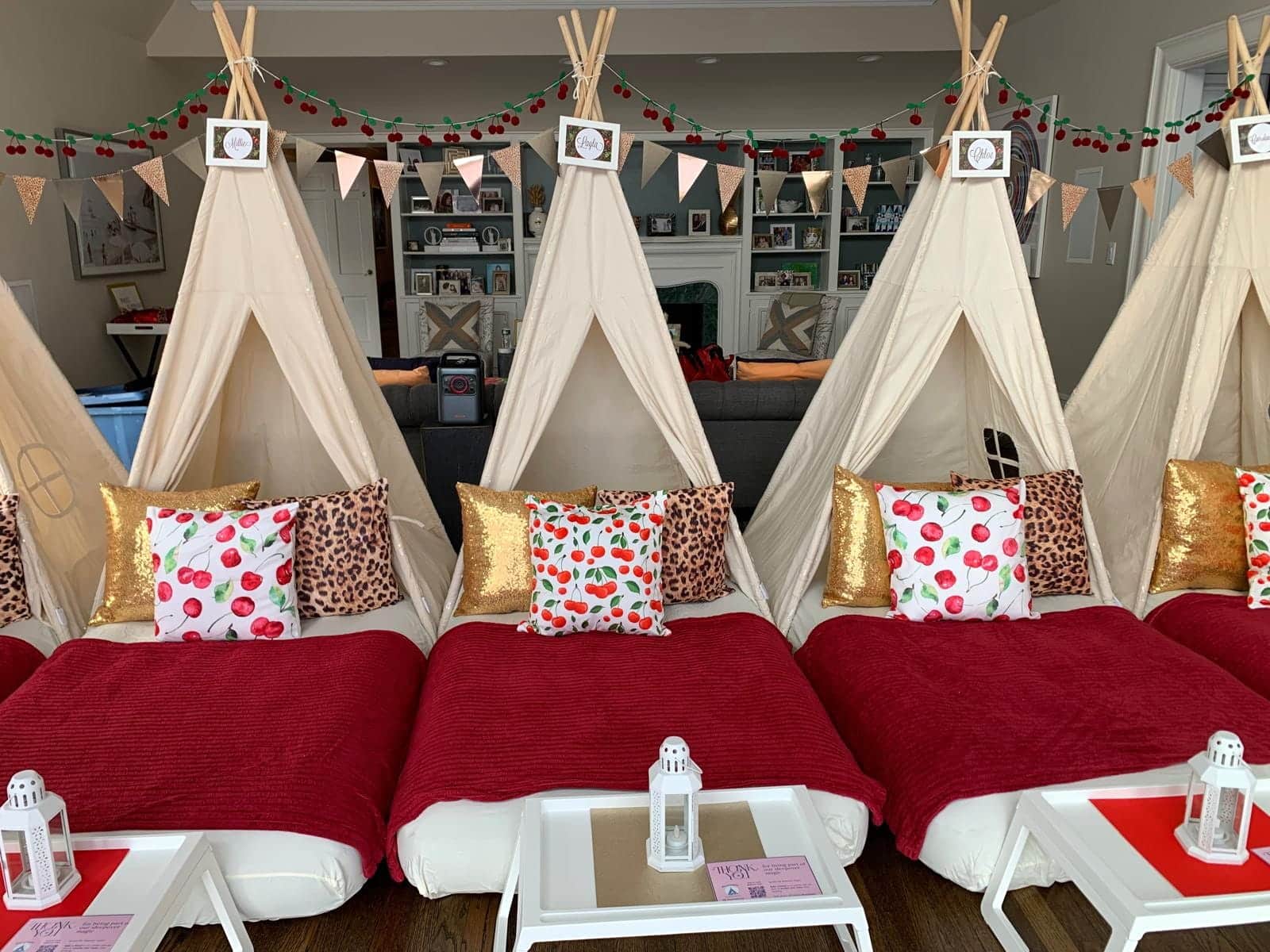 Cheetahs and Cherries theme